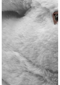 Resim Twıgy Zulu Kadın Hayvanlı Panduf 36-41 21k T-zulu Z Gri 