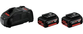 Resim Bosch Professional GAL 1880 CV +2 x GBA 5,0Ah (18V BAŞLANGIÇ SETİ) 