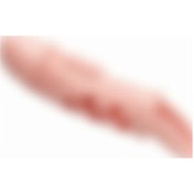 Resim Red Fox 2,5 Cm Dolgu Uzatmalı Titreşimli Penis Kılıfı Prezervatif Vibratör 