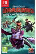 Resim Outright Games Dragons Dawn Of New Riders Nintendo Switch 