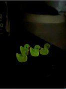 Resim Plantarrium Design Dikiz Aynası Saksı Ayna Süsü Karanlıkta Parlayan Mini Ördek (4'lü) 