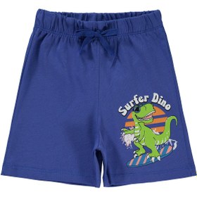 Resim Civil Boys Surfer Dino 2-5 Yaş Şort - Mavi - Saks Mavisi / 3-4 Yaş 