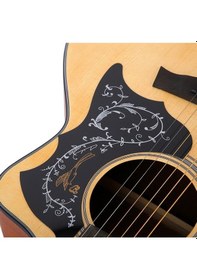 Resim Pg150 Pickguard Gitar Pena Koruyucu Kuş Desenli Pickguard 
