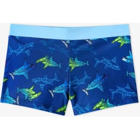 Resim Penti Renkli Erkek Çocuk Gradient Shark Trunk Mayo 