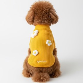 Resim APACCO FİORA SARI KÖPEK KAZAK - 2 