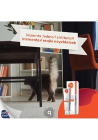 Resim Eklem Desteği Pasta, Kedi Ve Köpekler İçin Özel Formül 