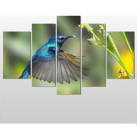 Resim Mavi Kuş Kanvas Tablo 122x70cm 