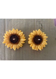 Resim Bernami Vazo Pinterest Suda Yüzen Kokulu Ayçiçeği Mumu 2 Li Soya Wax Parafini Diğer 