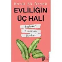 Resim Evliliğin Üç Hali 