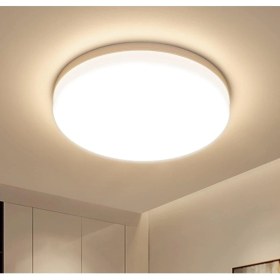 Resim Modern 24W Ledli Metal Aydınlatma 3200K Gün Işığı Banyo Balkon Wc Işıklandırması 