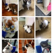 Resim 1 adet Yeniden Kullanılabilir Kedi Yırtıcı Direk ve Masaj Aleti - 11.99 cm Duvara Monte Kedi Oyuncakları ile Peluş Kapak, Kolay Temizlenebilir ve Hassas Işık Bej, Tırmanma, Yırtma ve Bakım için Dayanıklı Plastik, Kedi Yırtıcı Oyuncak, saç tokası Bakım Aracı, Kolay Temizlenebilir Malzeme 