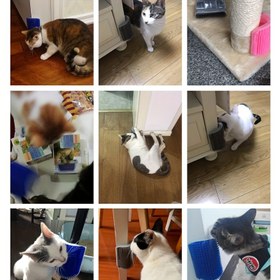 Resim 1 adet Yeniden Kullanılabilir Kedi Yırtıcı Direk ve Masaj Aleti - 11.99 cm Duvara Monte Kedi Oyuncakları ile Peluş Kapak, Kolay Temizlenebilir ve Hassas Işık Bej, Tırmanma, Yırtma ve Bakım için Dayanıklı Plastik, Kedi Yırtıcı Oyuncak, saç tokası Bakım Aracı, Kolay Temizlenebilir Malzeme 