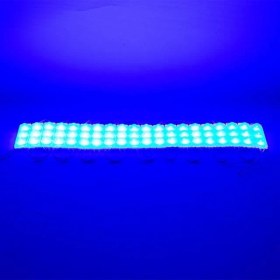 Resim Powermaster 12 Volt 1.5 Watt Mavi 2835 69 x 16 mm IP65 160 – 180 Lümen 160 Derece Modül LED 