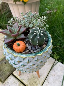 Resim El Yapımı Saksı Süsleri - Kabak 