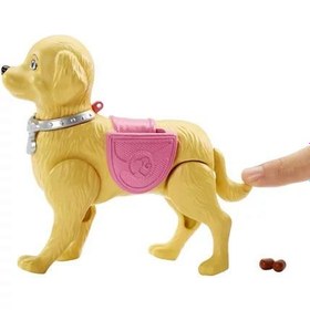 Resim Barbie ve Tuvalet Eğitimindeki Köpeği DWJ68 