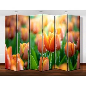 Resim Dekobul Lale 6 Kanat Tekerlekli Kanvas Paravan 