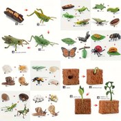 Resim Simülasyon Böcek Model Oyuncakları, Büyüme Yaşam Döngüsü Arı Kelebek Mantis Anaokulu Öğretim Yardımı 