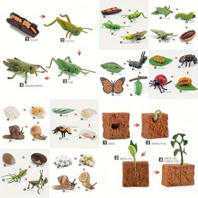 Resim Simülasyon Böcek Model Oyuncakları, Büyüme Yaşam Döngüsü Arı Kelebek Mantis Anaokulu Öğretim Yardımı 
