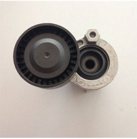 Resim Renault-mais- 117501113r Alternatör Gergi Rulmanı Megane Iı Sedan 1.6 16v Lm1b 7711135540 