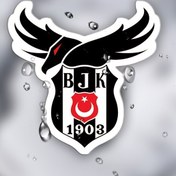 Resim Beşiktaş 1903 Su Geçirmez Vinil Çıkartmalar - Tek Kullanımlık Kendinden Yapışkanlı Araç, Laptop ve Defter için Dış Dekorasyon - Dayanıklı Takım Logolu Tasarım ile Kartal & BJK Amblemi, Spor Taraftar Aksesuarı 