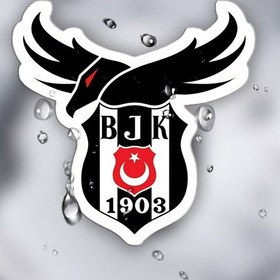 Resim Beşiktaş 1903 Su Geçirmez Vinil Çıkartmalar - Tek Kullanımlık Kendinden Yapışkanlı Araç, Laptop ve Defter için Dış Dekorasyon - Dayanıklı Takım Logolu Tasarım ile Kartal & BJK Amblemi, Spor Taraftar Aksesuarı 