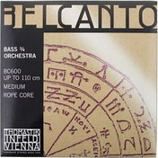 Resim Thomastik Infeld BC600 Belcanto Kontrabas Teli 