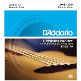 Resim D'Addario EPBB170 Long Scale 45-100 Phosphor Bronze Akustik Bas Gitar Tel Seti 