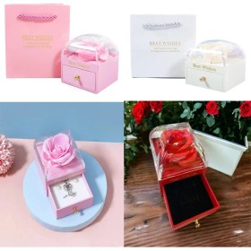 Resim Sonsuzluk Gül Tasarımlı Takı Kutusu 
