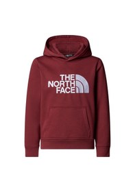 Resim The North Face Teen Drew Peak Pullover Hoodıe Çocuk Sweatshirt Nf0a8ehh0vo1 Çok Renkli 