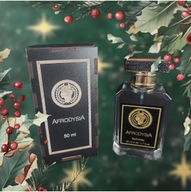 Resim Afrodysia 50 ml erkek parfüm 