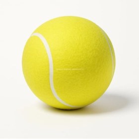 Resim markentegra 14 cm Boyutunda Dayanıklı Tenis Topu Köpek Oyuncağı 