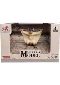 Resim Animal World Vahşi Hayvanlar 64809 Yarasa 