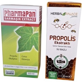 Resim Sarmaşık Ekstrat 100ml + Propolis Ekstrat Akciğer 