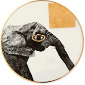 Resim Porland Wild Life Elephant Bardak Altlığı 10cm 04alm006626 