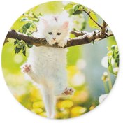 Resim WuW Canbaz Kedi Yuvarlak Mouse Pad 