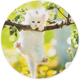 Resim WuW Canbaz Kedi Yuvarlak Mouse Pad 