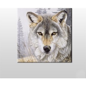 Resim Kurt Bakışı Kanvas Tablo 25x25cm 