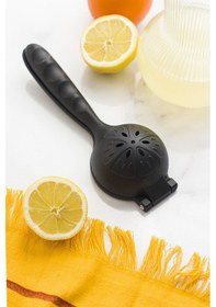 Resim Döküm Limon Ve Narinciye Sıkacağı Büyük Boy 23 Cm Çok Renkli 