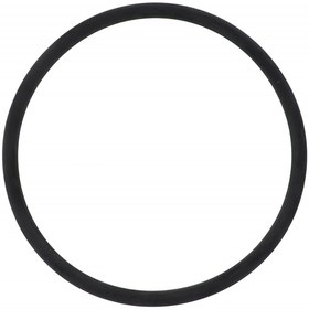 Resim AGCO O-Ring - Massey Ferguson / Fendt / Valtra | ACP0408420 