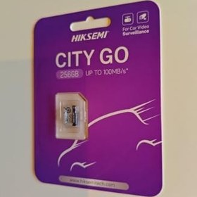 Resim HIKSEMI HS-TF-M1 256 GB Micro SD 