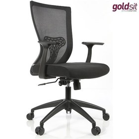 Resim Dekofis Goldsit Çalışma Koltuğu Fileli 