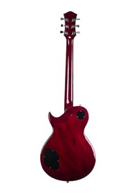 Resim Dmx Guitars Glp100 Les Paul Elektro Gitar 
