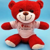 Resim Alifa Toptan Seni Seviyorum Tasarımlı Oyuncak Ayı 