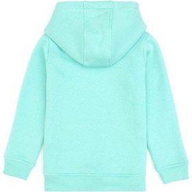 Resim U.S. Polo Assn. Kız Çocuk Mint Kapüşonlu Şardonlu Basic Sweatshirt 50314311-VR250 