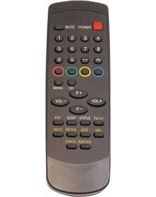 Resim Shov - Schaublorenz Rc-01 Tv Kumandası 