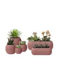 Resim Omnipazar Mercan Dekoratif Sukulent Kaktüs Plastik Saksı Takımı 6'lı Set Pembe 