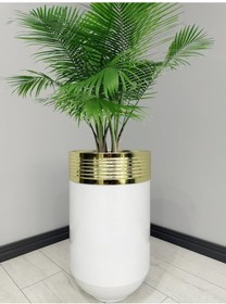 Resim Elegant Dekoratif Gold Darbuka Parlak Beyaz Saksı 60cm 