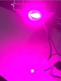 Resim 50 WATT Bitki yetiştirme lambası 
