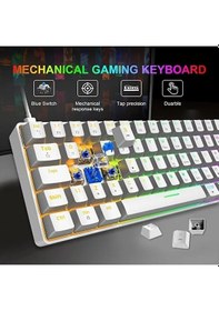 Resim Blue Switch Mini Rgb Oyun Klavyesi Gaming Mekanik 62 Tuşlu 18 Rgb Led Usb Type-c Kablo 
