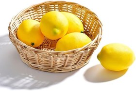 Resim Yapay Meyve Sebze LİMON Aşırı doğal 1. Kalite 